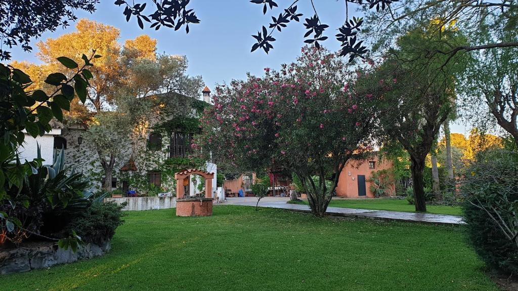 לינה וארוחת בוקר אלחרקה La Casa Del Torreon מראה חיצוני תמונה