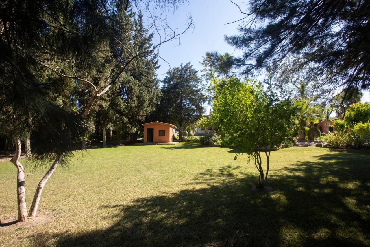 לינה וארוחת בוקר אלחרקה La Casa Del Torreon מראה חיצוני תמונה